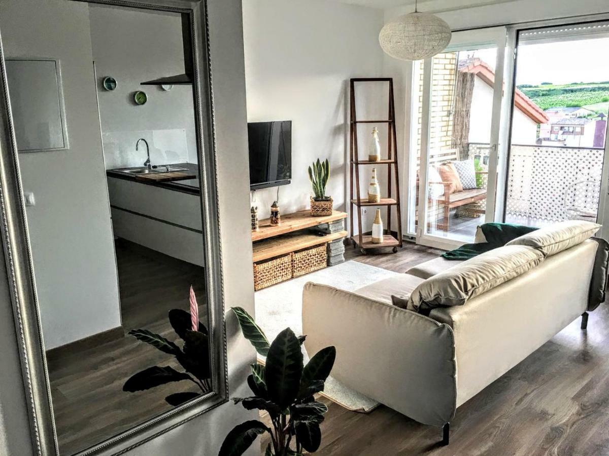 Apartamento Gaztainondoak Lanciego Eksteriør billede